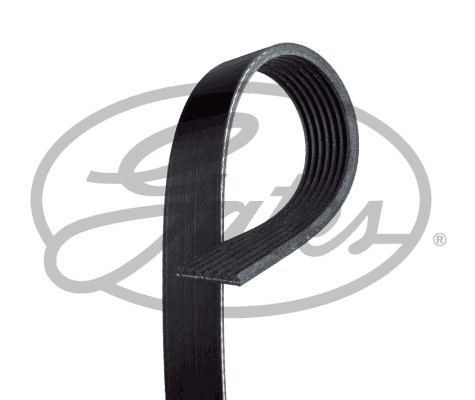 New ribbed belt - belt, for
